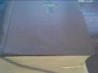  003.webp