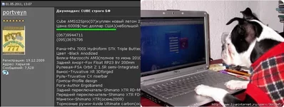 2.webp