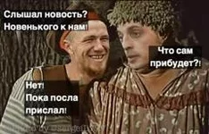 d4gaec.jpg