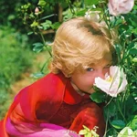 2004-06 F017.webp