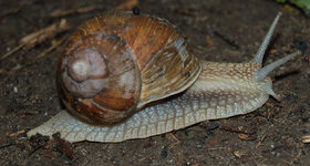 DSC_0026.jpg