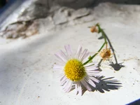 DSCF1571.webp