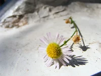 1024.webp