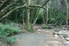IMG_5360.webp
