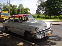P8020307.webp