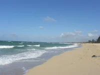 SH104470.webp