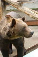 Img0209.jpg