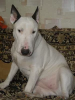 3-ЕВА 15.09.05..webp