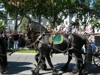 DSCN2551.webp