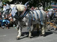 DSCN2585.webp