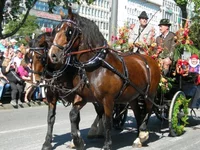 DSCN2589.webp