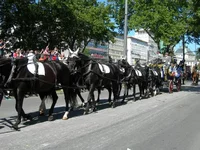 DSCN2608.webp
