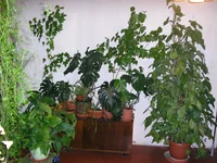 home-2005-08-07-137.webp