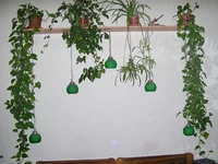 home-2005-08-07-143.webp