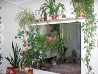 home-2005-08-07-144.webp