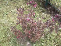 -0059.webp