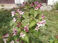 -0064.webp