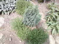 -0114.webp