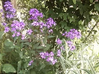 -0117.webp