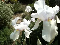 -0123.webp