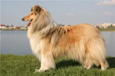 a71ba80d82cc.webp