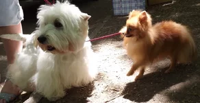 DSCF2036.JPG