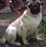 DSCF2051.JPG