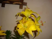 4014.webp