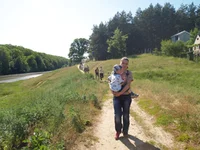 P5294672.webp