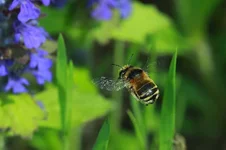 _59K6526.webp