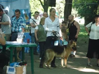 Копия DSC02899.JPG