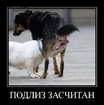 da1fjb.webp