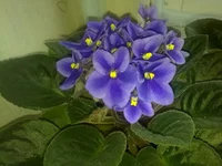 06052011490.webp
