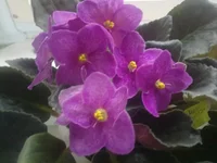 06052011491.webp