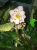 12052011523.webp