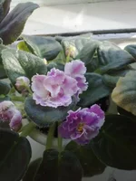 13042011408.webp