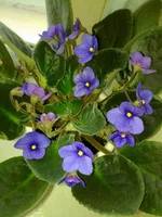 13042011409.webp