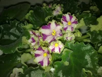 15052011553.webp