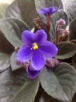 25042011440.webp