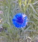 P300511_19.06.webp