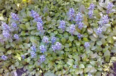 P250511_06.47.webp