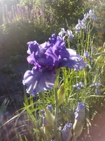 P300511_19.02.webp