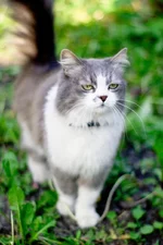  _IGP5764.webp