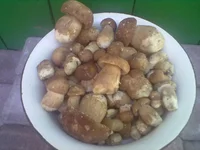 31052011084.webp