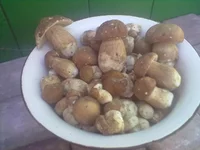 31052011087.webp