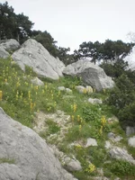P8311348.webp