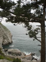 P8311341.webp