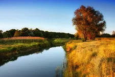 IMG_2786 1.jpg