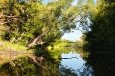IMG_2905 1.jpg