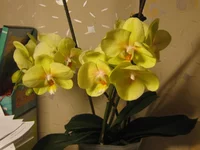 IMG_3137.webp